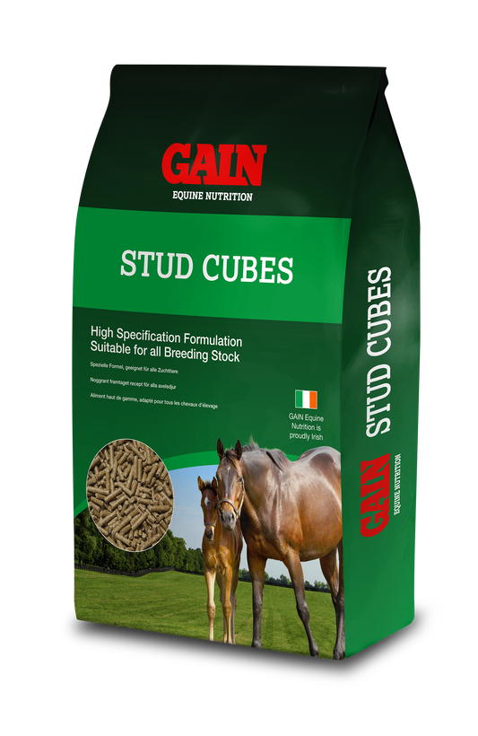 Gain Stud Cubes 25kg