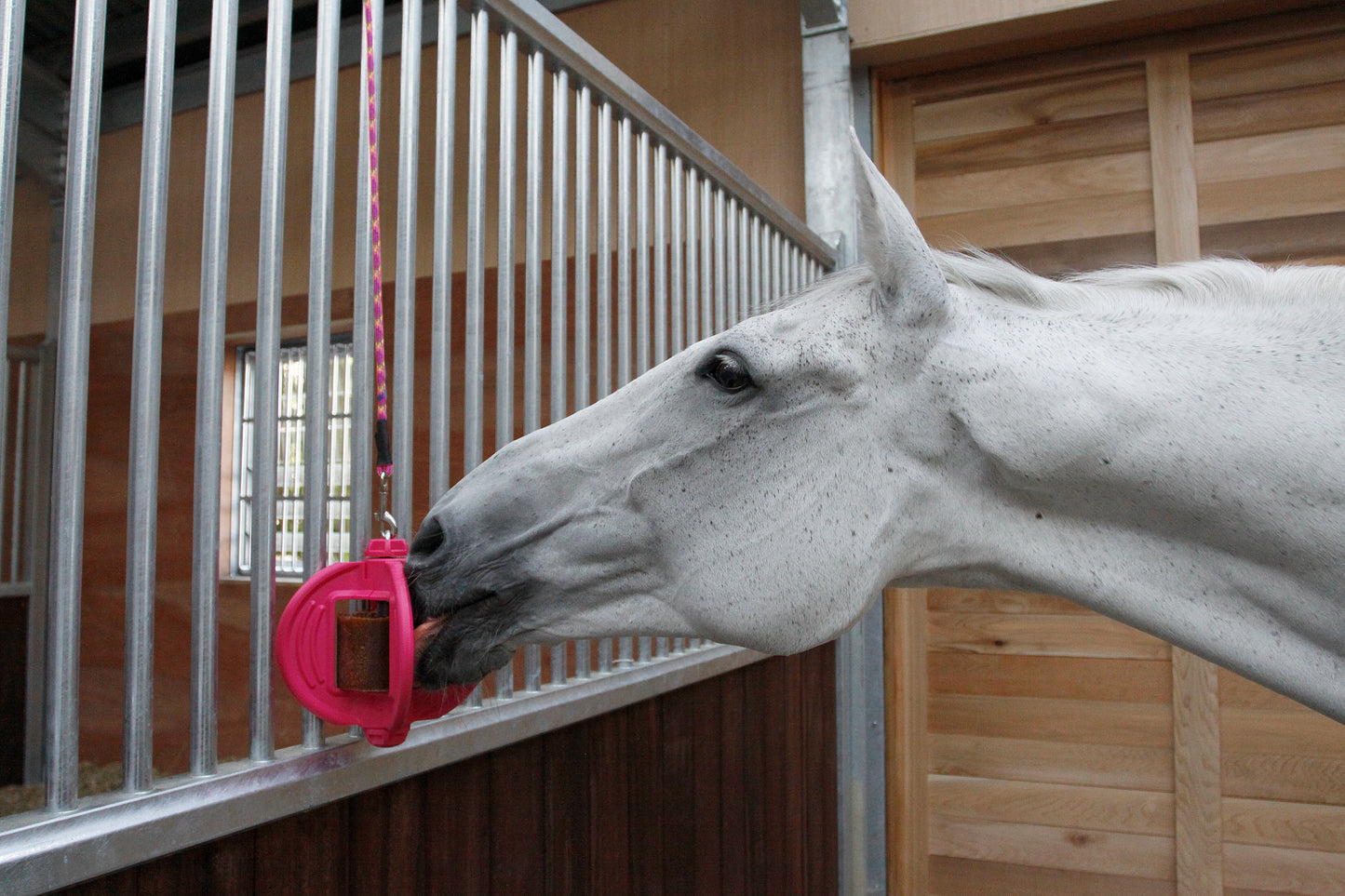 Bizzy Bites Horse Lick Toy Hot Pink