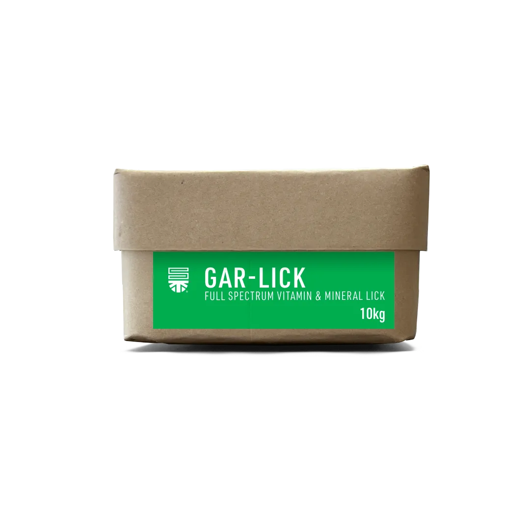 Saracen Gar-Lick 10kg