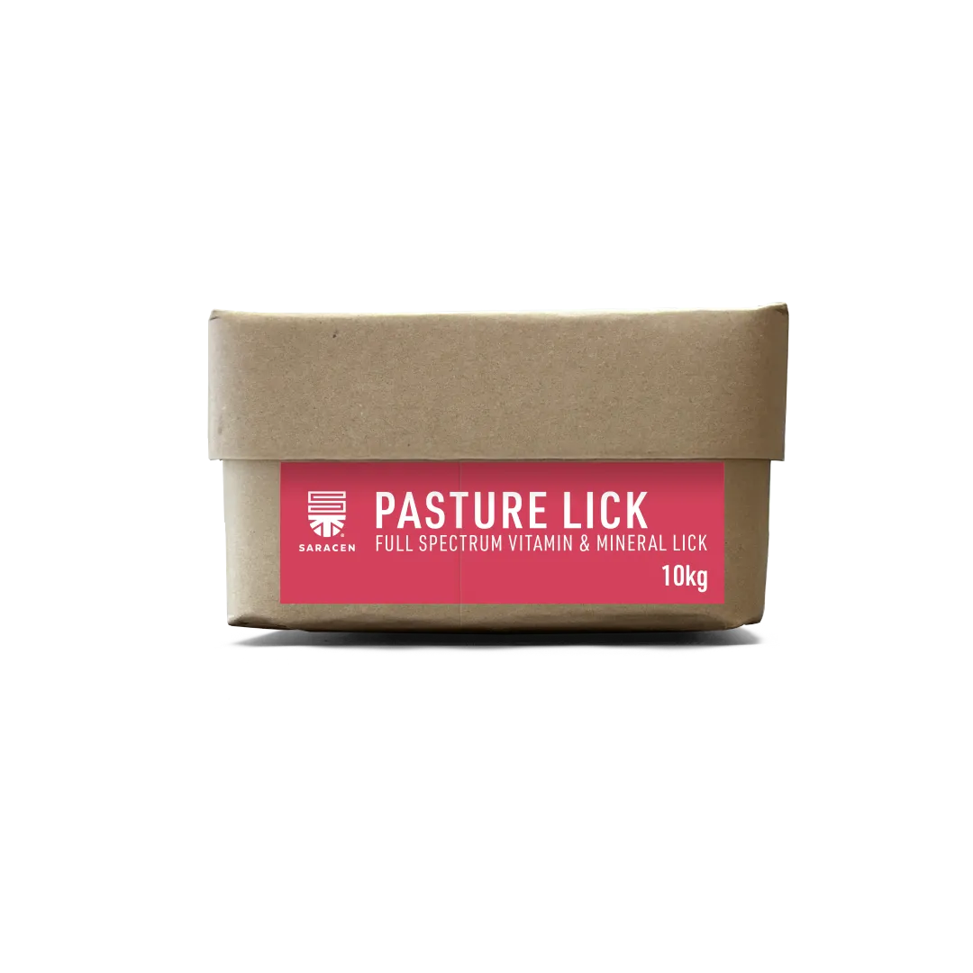 Saracen Pasture-Lick 10kg
